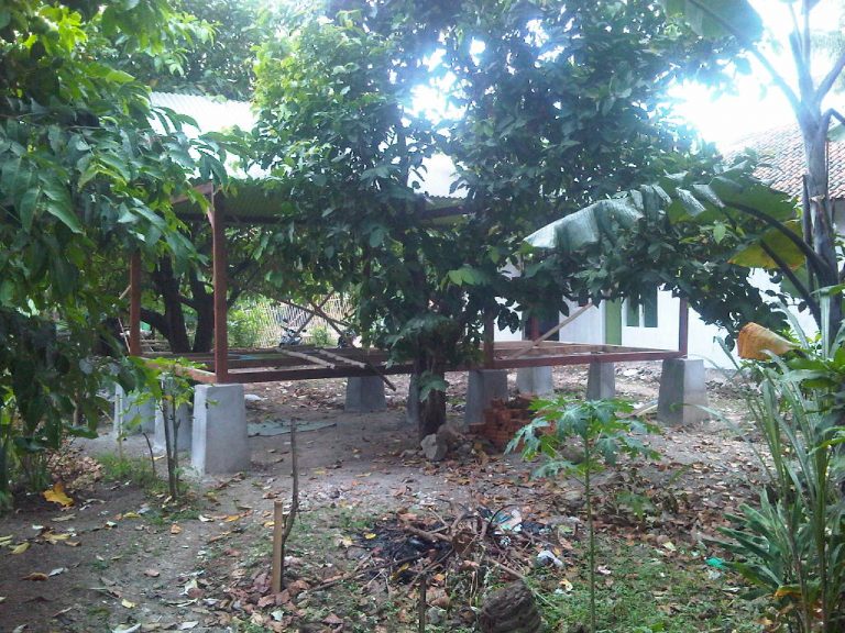 Perkembangan Saung Taman Bacaan Excellent, Juni 2012