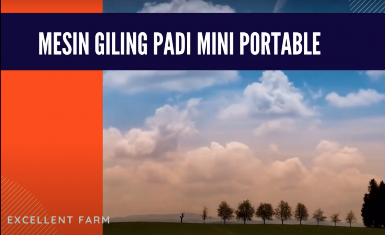 Mesin Giling Padi Mini Portable