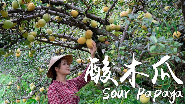 Dianxi Xiaoge