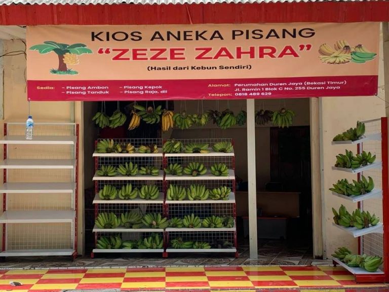 Pengalaman Memulai Jualan Pisang