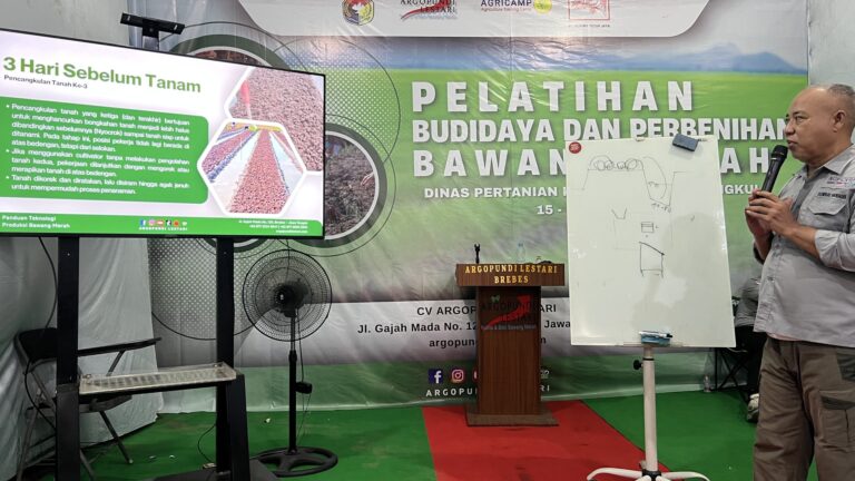 Pelatihan Budidaya Bawang Merah : Persiapan Lahan, Persemaian Hingga Penanganan Panen