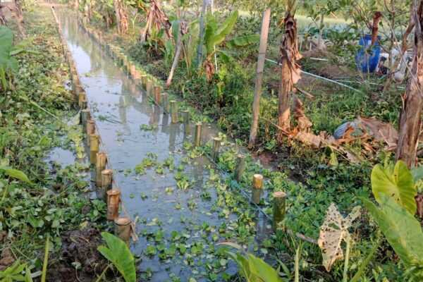Membenahi Saluran Air