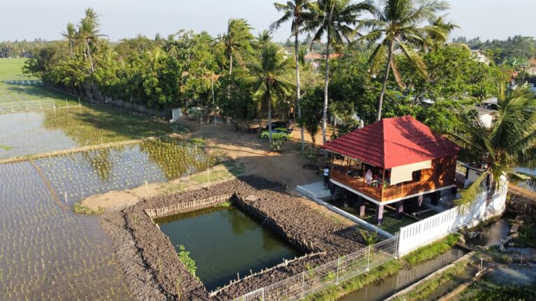 Merealisasikan Cita-Cita : Rumah Kabin Sebagai Rumah Pertanian