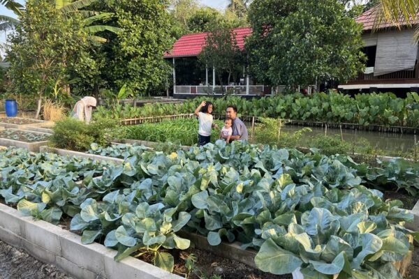Bahan Masakan dari Tanaman Sendiri