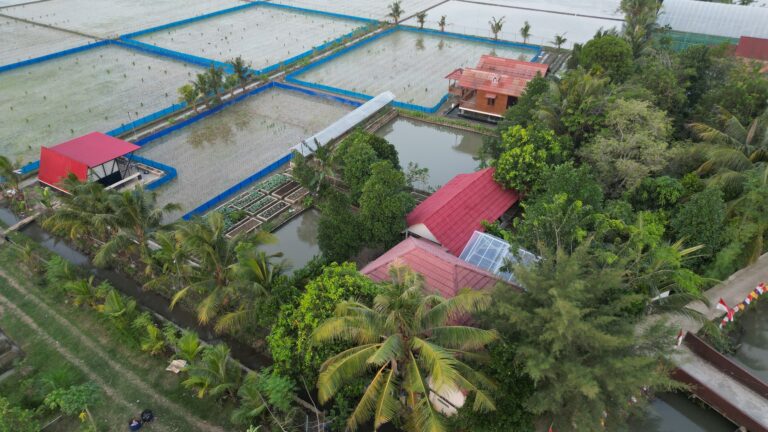 Cita-Cita Masa Kecil : Bekerja di Bidang Pertanian dan Teknik