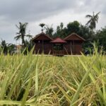 Belajar Penerapan Pertanian Terpadu (Integrated Farming)