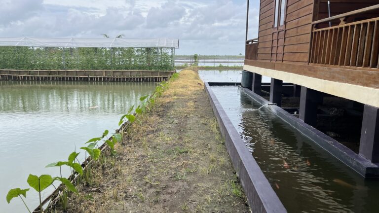 Tips Pertanian : Memanfaatkan dan Memaksimalkan Lahan yang Ada