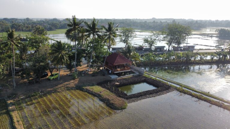 Merealisasikan Cita-Cita : Mengubah Tanah Rawa Penuh Semak Menjadi Rumah Kabin Impian