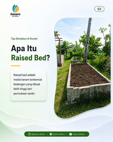 Penjelasan pengertian raised bed sebagai media tanam bedengan yang dibuat lebih tinggi