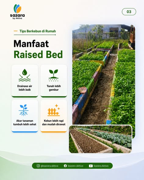 Empat poin keunggulan raised bed untuk drainase air gembur tanah dan akar tanaman